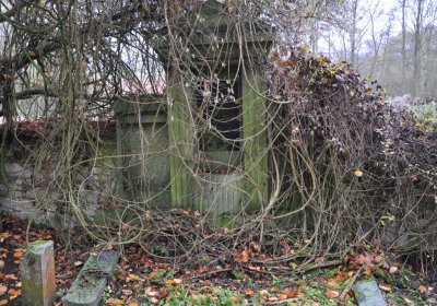 Nečemice, Omnium, 2020