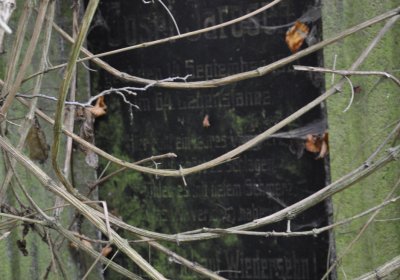 Nečemice, Omnium, 2020