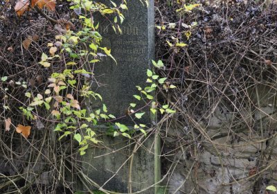 Nečemice, Omnium, 2020