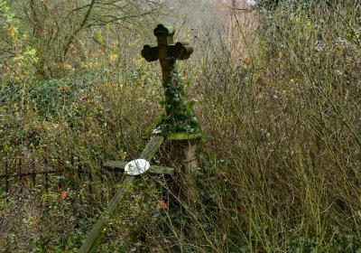 Nečemice, Omnium, 2020