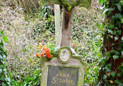 Nečemice, Omnium, 2020