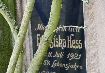 Nečemice, Omnium, 2020