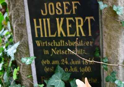 Nečemice, Omnium, 2020