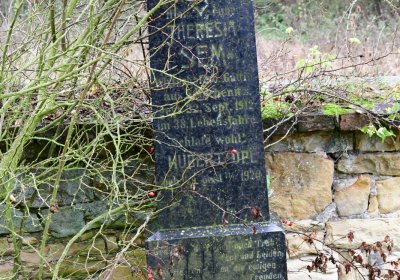 Nečemice, Omnium, 2020