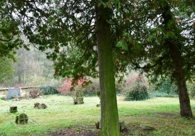 Nečemice, Omnium, 2020