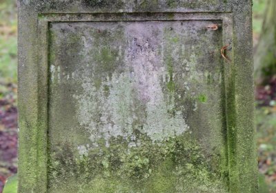 Nečemice, Omnium, 2020