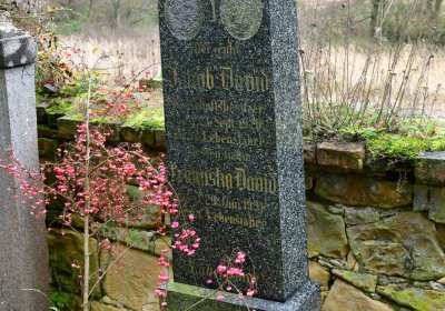 Nečemice, Omnium, 2020