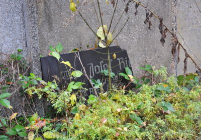 Sádek, Omnium, 2020