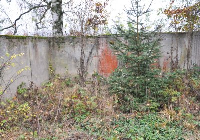 Sádek, Omnium, 2020