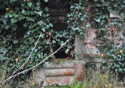 Sádek, Omnium, 2020