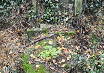 Sádek, Omnium, 2020