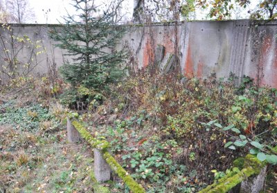 Sádek, Omnium, 2020