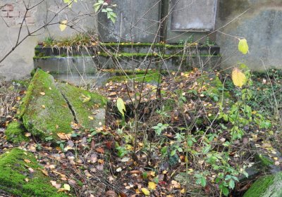 Sádek, Omnium, 2020