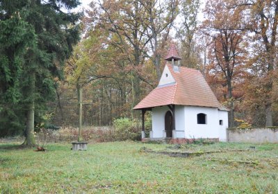 Sádek, Omnium, 2020