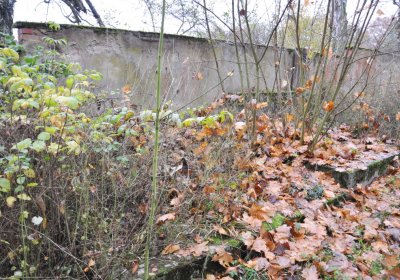 Sádek, Omnium, 2020