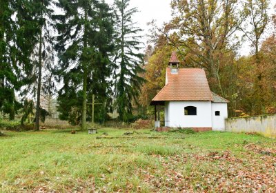 Sádek, Omnium, 2020