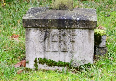 Sádek, Omnium, 2020