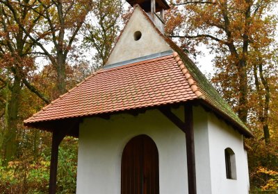 Sádek, Omnium, 2020