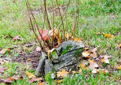 Sádek, Omnium, 2020