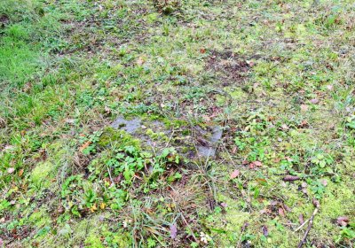 Sádek, Omnium, 2020