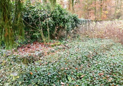 Sádek, Omnium, 2020