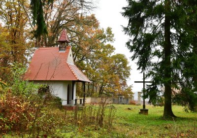 Sádek, Omnium, 2020