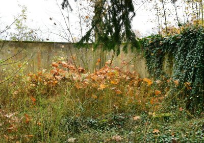 Sádek, Omnium, 2020