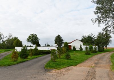 Strojetice, Omnium, 2020