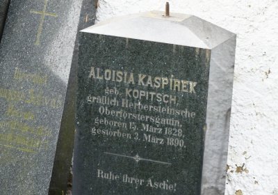 Strojetice, Omnium, 2020