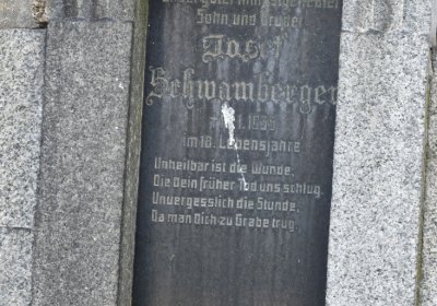 Stebno u Petrohradu, Omnium, 2020