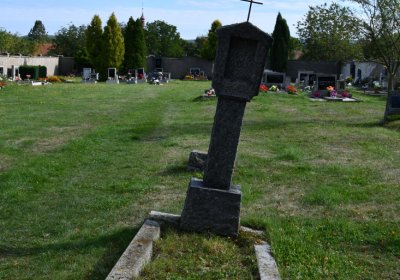 Stebno u Petrohradu, Omnium, 2020