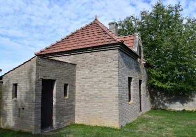 Stebno u Petrohradu, Omnium, 2020