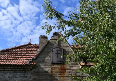 Stebno u Petrohradu, Omnium, 2020