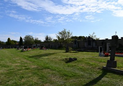 Stebno u Petrohradu, Omnium, 2020