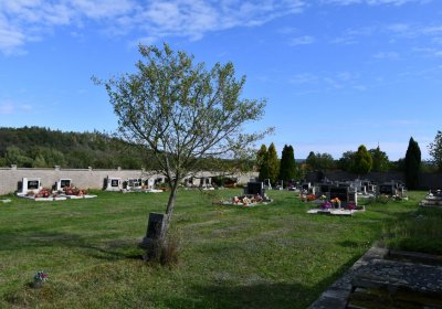 Stebno u Petrohradu, Omnium, 2020