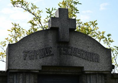 Stebno u Petrohradu, Omnium, 2020