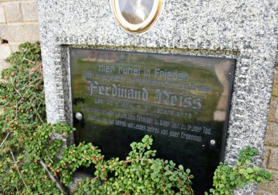 Stebno u Petrohradu, Omnium, 2020