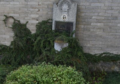 Stebno u Petrohradu, Omnium, 2020