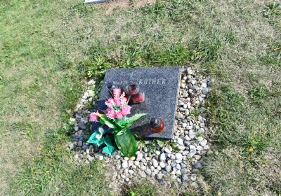 Stebno u Petrohradu, Omnium, 2020