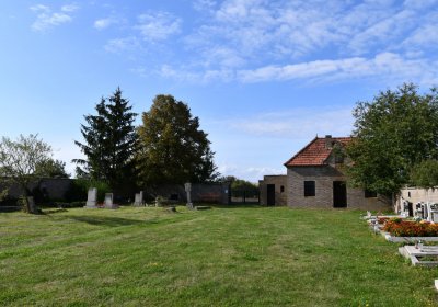 Stebno u Petrohradu, Omnium, 2020