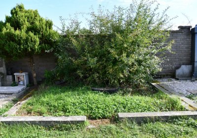 Stebno u Petrohradu, Omnium, 2020