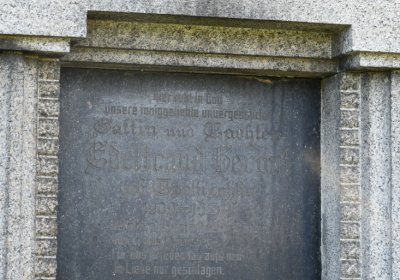 Stebno u Petrohradu, Omnium, 2020