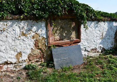 Kryry městský, Omnium, 2020