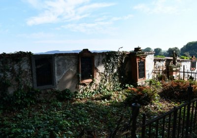 Kryry městský, Omnium, 2020