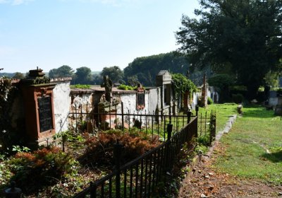 Kryry městský, Omnium, 2020