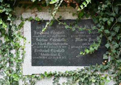 Kryry městský, Omnium, 2020