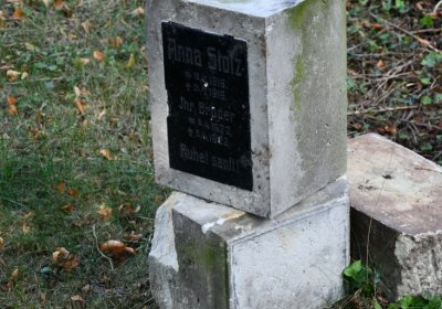 Kryry městský, Omnium, 2020