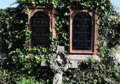 Kryry městský, Omnium, 2020