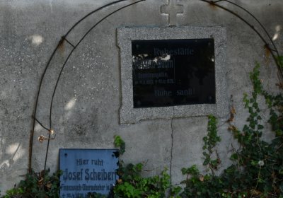 Kryry městský, Omnium, 2020