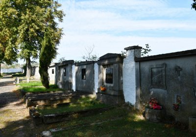 Kryry městský, Omnium, 2020